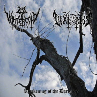 Wintercold : Awakening of the Darkness